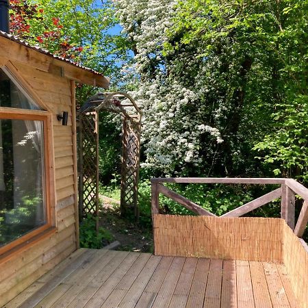 Honey Bee Cabin Llandysul Eksteriør billede