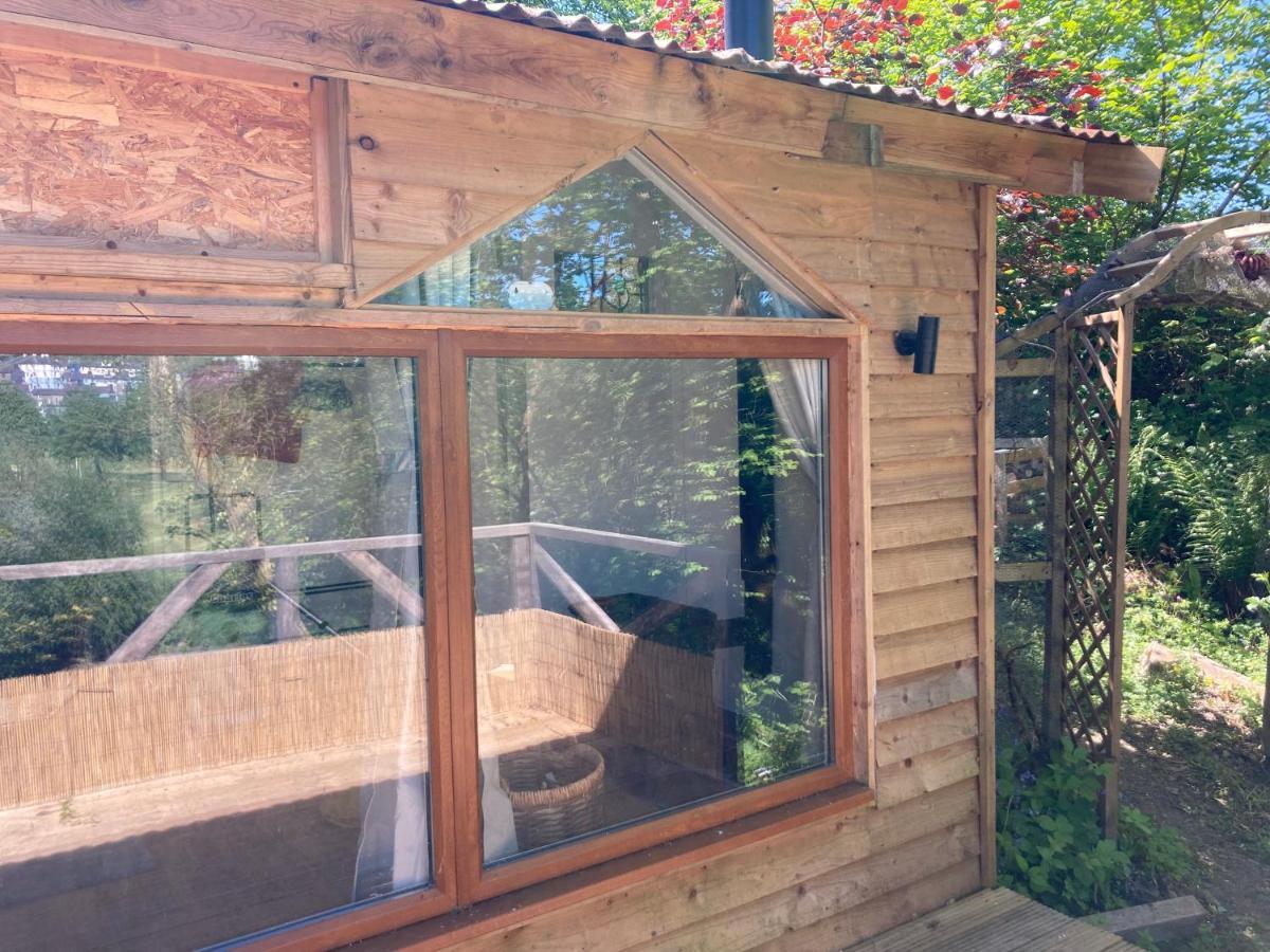 Honey Bee Cabin Llandysul Eksteriør billede